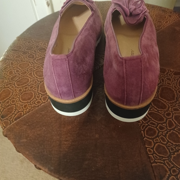 Unity in diversity shies - Picture 3 of 4